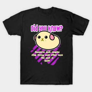 Did you know? 7 T-Shirt